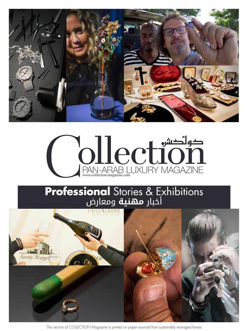 Фото самого маленького кольца в мире в рубрике Professional Stories & Exhibitions журнала Collection Pan-Arab Luxury Magazine